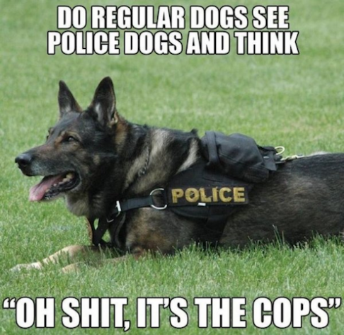 police dogs.png