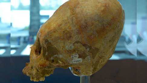 elongated skull mayan 7000.jpg