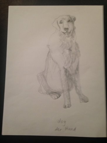 Sketch of dog.JPG
