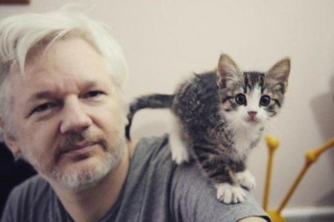 Julian Assange and kitty friend.jpg