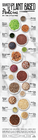 Plant-Protein-Infographic-1.png