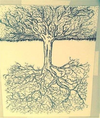 Kristy's tree.jpg