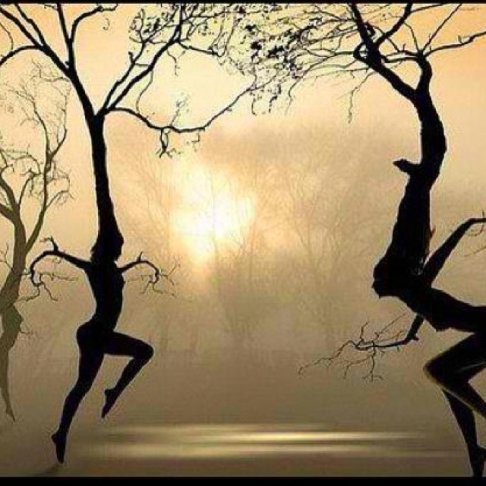 virgo trees dancing.jpg