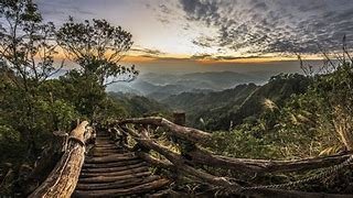 wooden bridge_path.jpg