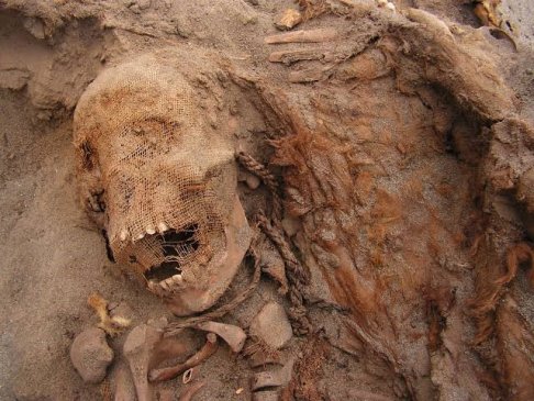 Mass child sacrifice ritualistic killing_ancient Peru_found 2019.jpg