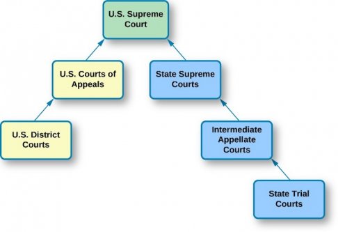 court structure.jpg