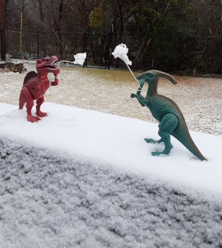 2 dino snows.jpg