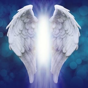 Angel-wings-.jpg