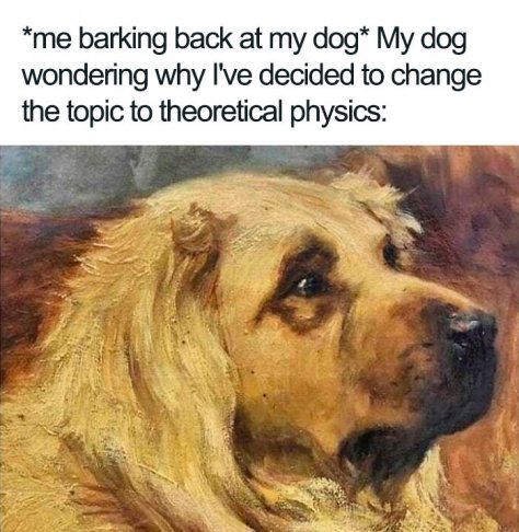 dog physics.jpg