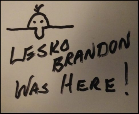 lesko-brandon-v2-768x628.jpg