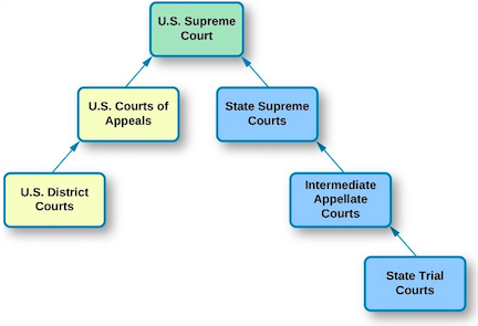 court structure.png