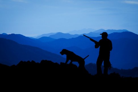 hunting-3145387.jpg