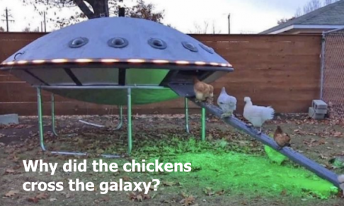 chickens cross the galaxy.png