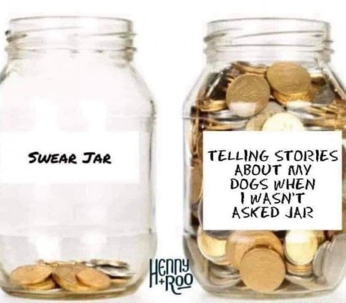 swear jar.jpg