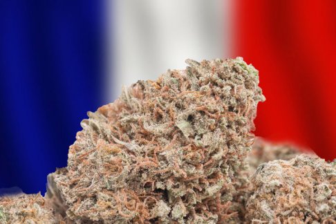 France-Cannabis.jpg