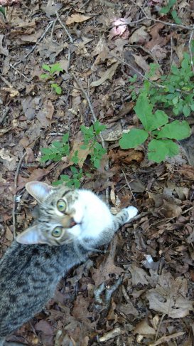 IMG_20170603_134020446.jpg