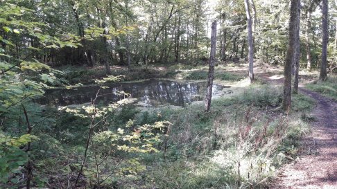 20170925_151000.jpg