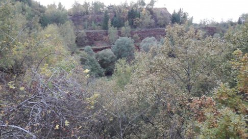 20170927_173221[1].jpg