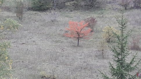 20170927_174621[1].jpg