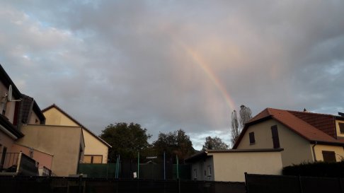 20171019_182319.jpg