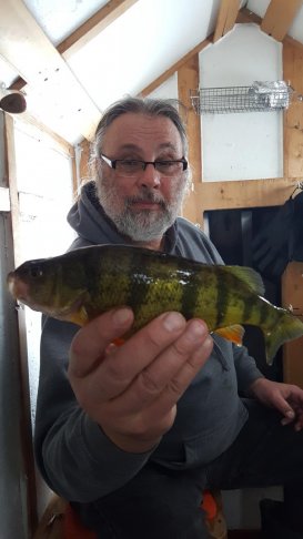 Resized_20180118_153948.jpeg