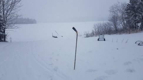 20180228_103454[1].jpg