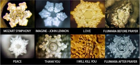 emoto1.jpg