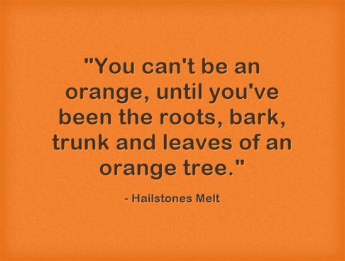 You-cant-be-an-orange (1).jpg