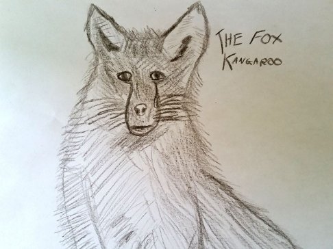 fox.jpg