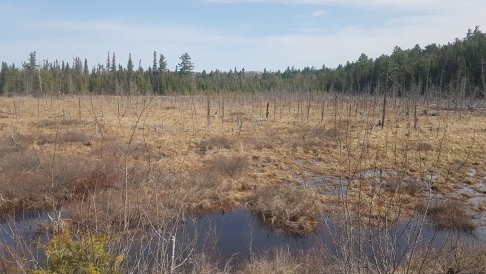 20180509_100458.jpg