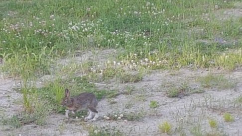 20180627_070759[1].jpg