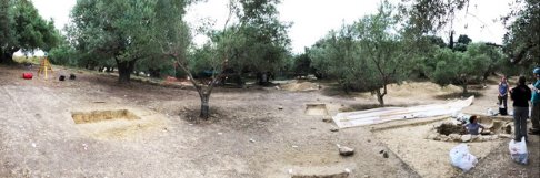 Olive grove in Pylos where agate was found.jpg