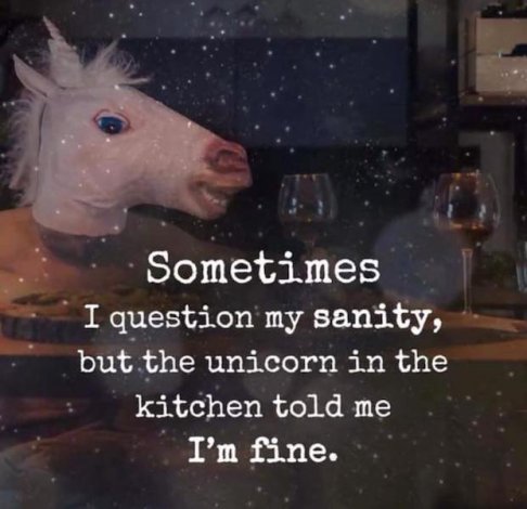 kitchen unicorn.jpg