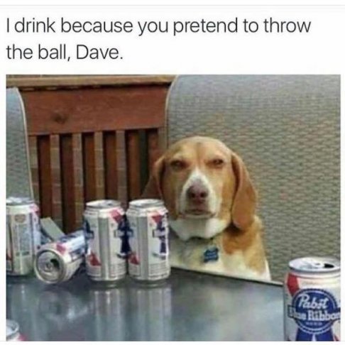 beer dog.jpg
