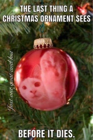 cat ornament.jpg