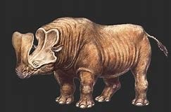 Embolotherium.jpg