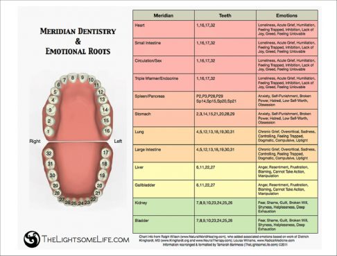 Meridian-Tooth-Chart-Source-Wilson-and-Williams-2011.png