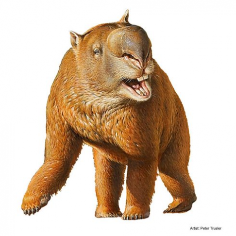 Giant Wombat.png