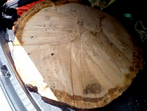 tree slab.JPG