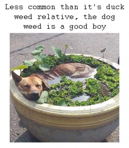 Untitled-5d.jpg