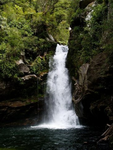 wainui falls new zealand by laron.jpg