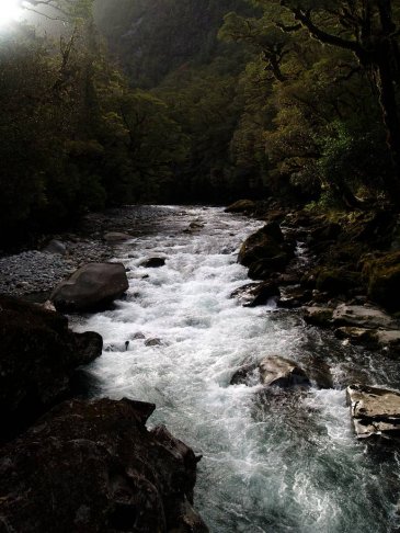 milford sounds new zealand by laron.jpg