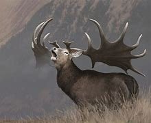 Megaloceros_giganteus_giant elk_2.jpg