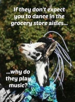 dancing in grocery store.jpg