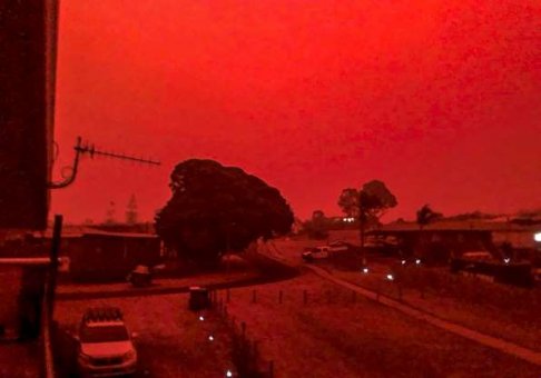 sky glows red at Mallacoota Jan 4.jpg