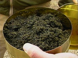 260px-Paddlefish_caviar.png