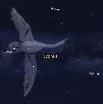 Cygnus-Northern-Cross-Summer-Triangle.jpg