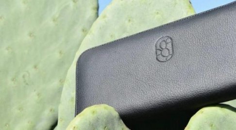 cactus leather.jpg