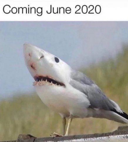 june 2020.jpg