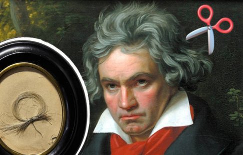 Beethovens hair.jpg